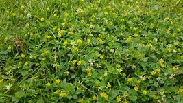 20190606_121146.webp