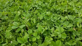 20190606_121154.webp