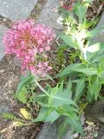 20190606_204330_resized_1.webp