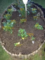 2019-06-04 Dahlienbeet2 mit Namen.webp