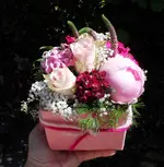 SAM_0973a.webp