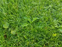 20190607_091848.webp