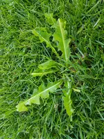 20190607_091858.webp