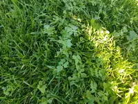 20190607_091917.webp