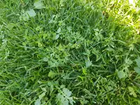 20190607_091920.webp