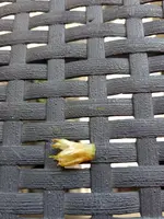 20190607_153719.webp