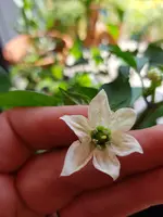 20190607_153814.webp