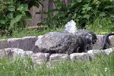 IMGP3569.webp