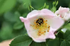 image003.webp