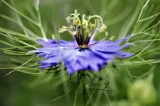 image009.webp