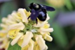 image010.jpg