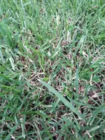 20190608_122838.webp