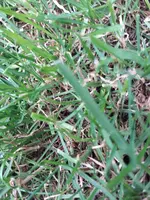 20190608_122852.webp