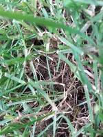 20190608_122905.webp