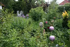 Juni  1619.webp