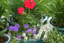 Terasse   1419.webp