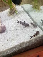 20190608_140026.webp