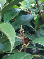 20190608_205658.jpg