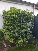 20190608_205537.webp