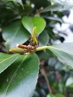 20190608_205626.jpg