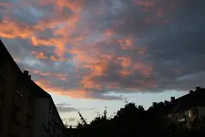0M3A9356[1].webp