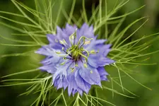 image001.jpg