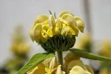 image002.webp