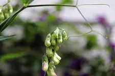 image003.webp