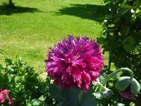 DSC00390.JPG