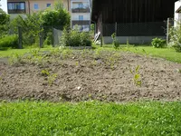 08_06_2019 (37).webp