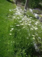 08_06_2019 (50).webp