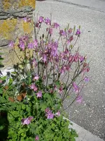 08_06_2019 (48).webp