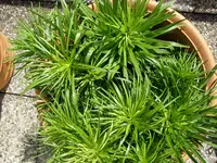 08_06_2019_Ter (5).webp