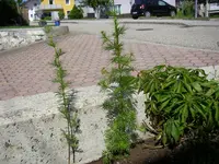 08_06_2019 (5).webp