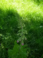 08_06_2019 (74).webp