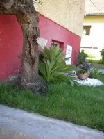 08_06_2019 (1).webp