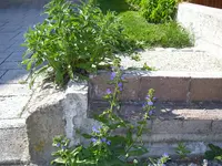 08_06_2019 (2).webp
