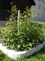 08_06_2019 (34).webp