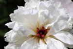 image001.jpg