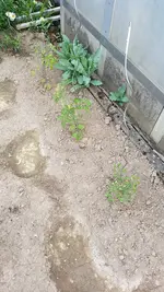 20190609_173600.webp