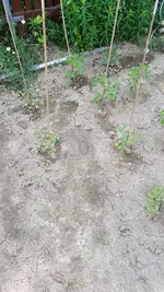 20190609_173547.webp