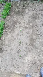 20190609_173609.webp