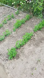20190609_173612.webp