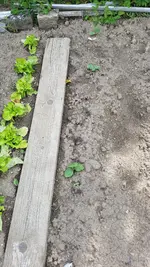 20190609_173631.webp