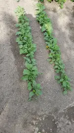 20190609_173637.webp