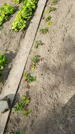 20190609_173642.webp