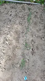 20190609_173623.webp