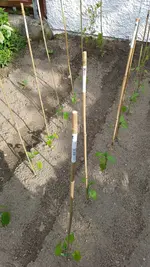 20190609_173705.webp