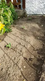 20190609_173713.webp