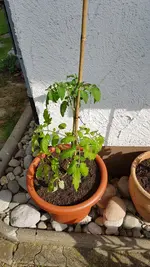 20190609_173449.webp
